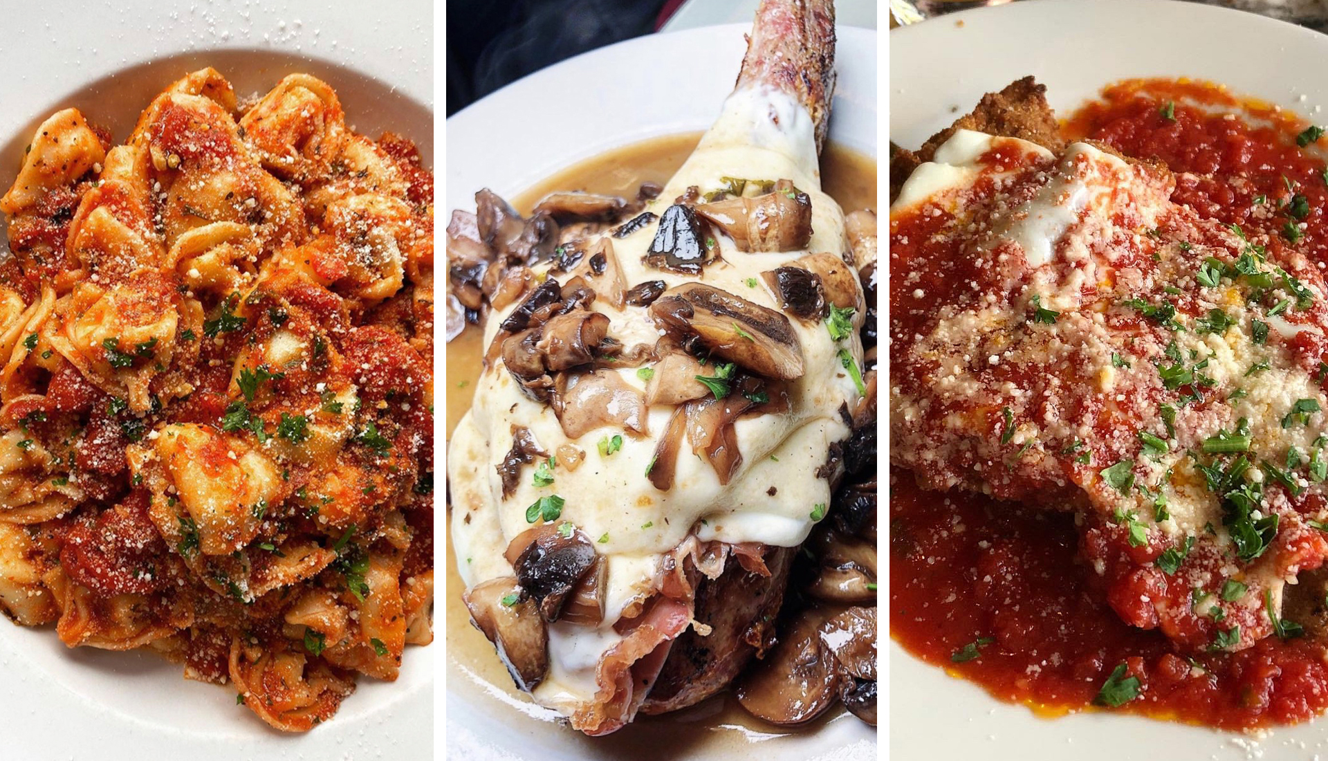 Andino's food slider